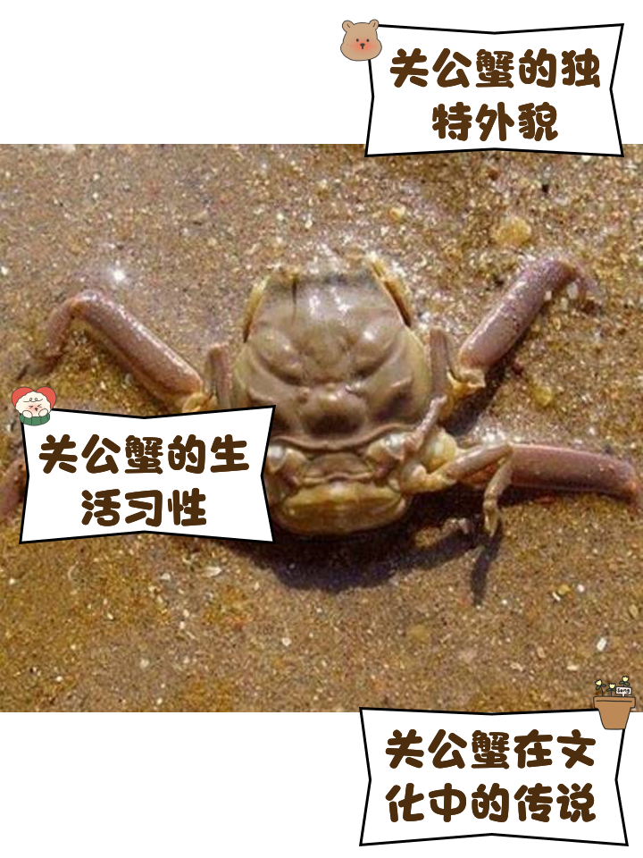 欧博官方网站 -?蠏???(嫐嬲是什么意思?)